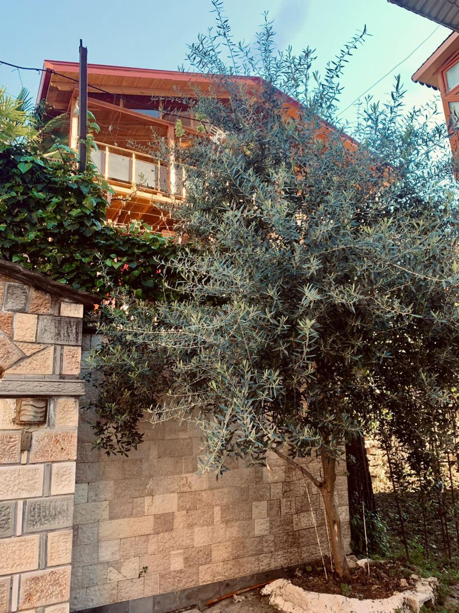 Alimeti Guesthouse Берат Экстерьер фото