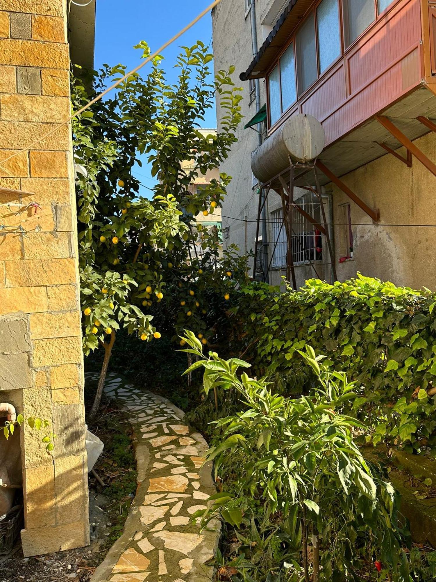 Alimeti Guesthouse Берат Экстерьер фото